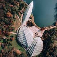 Nanjing from above
