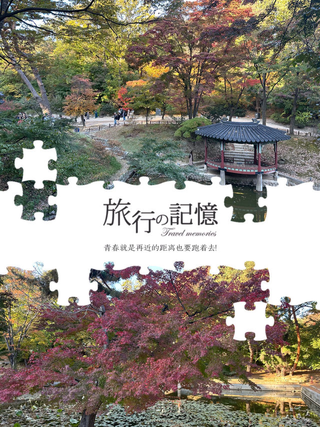 昌德宮秘院攻略👆
