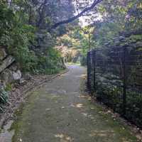 Kinugasayama Park, Yokosuka