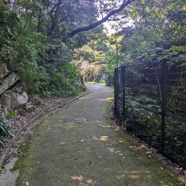 Kinugasayama Park, Yokosuka