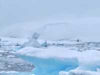 南極旅遊攻略 Antarctica Travel Guide