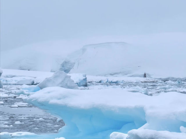南極旅遊攻略 Antarctica Travel Guide