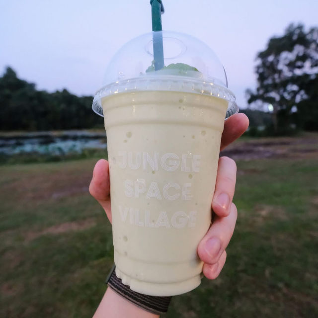 Jungle Space Village ☕️🌲