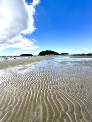 【Aichi】The Illusive Path to an Uninhabited Island - Tombolo Tidal Flats and Clam Digging Spot