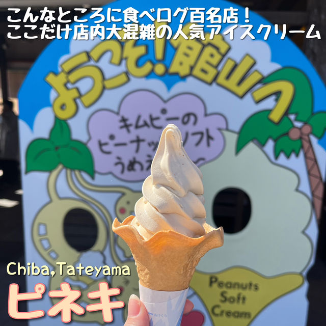 【千葉🌊】遠くても行きたい百名店のピーナッツソフト🍦🥜