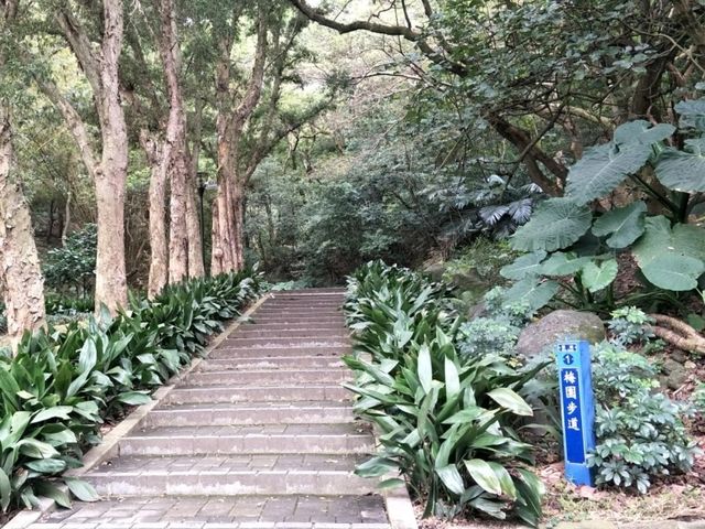 #奧爾森林學堂-桃園市桃園區