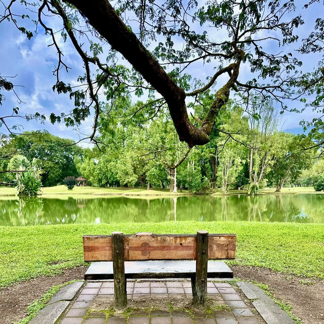 🌿🚂 A Day Escape from Penang: Chasing Rain & History in Taiping by Train