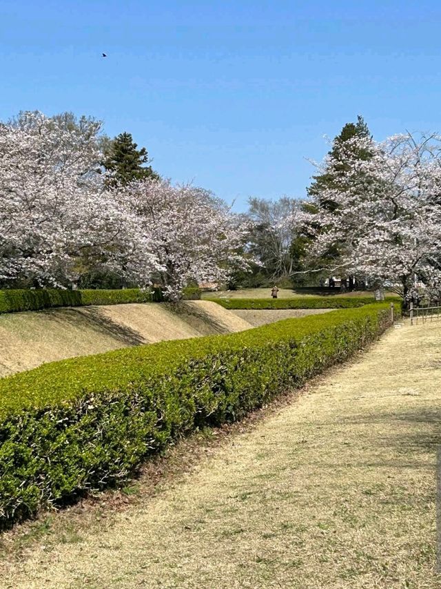 Sakura Castle Park, Chiba