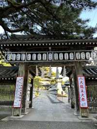 【千葉】続く参道に並ぶ灯篭 が美しい景観