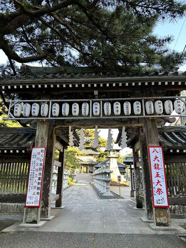 【千葉】続く参道に並ぶ灯篭 が美しい景観
