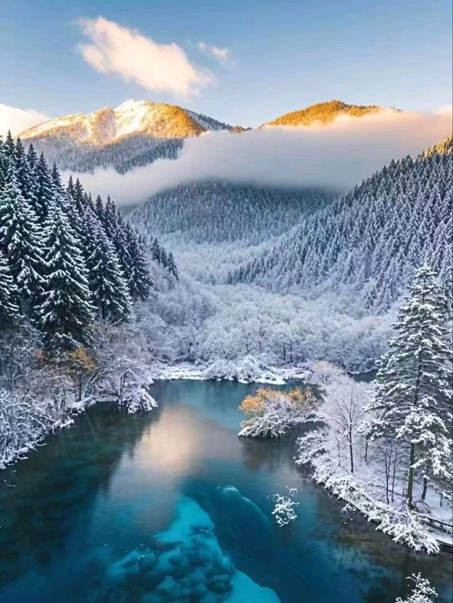 Tranquil Trails: Jiuzhaigou’s Winter Wonderland
