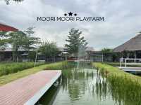 Playfarm ที่เด็กๆต้องชอบ