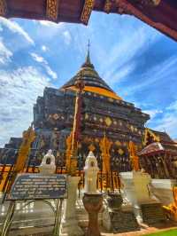 สักการะพระธาตุประจำปีเกิด ปีฉลู