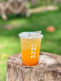 คาเฟ่สายแคมป์ปิ้ง 🏕 Log 'n Talk Cafe