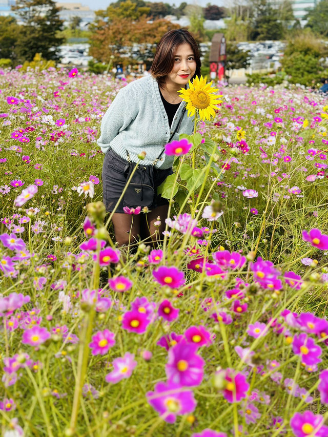 Picturesque Agricultural Theme Park