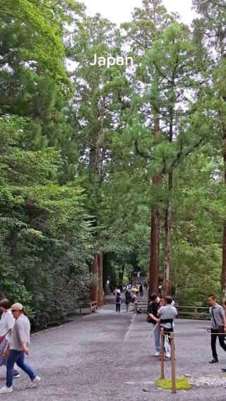 來過伊勢神宮，才算真正體驗過日本的傳統文化