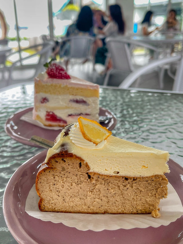 Hidden Garden by the Sea— captivating seaside café