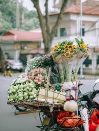 Lotus flowers in HaNoi