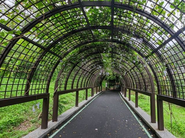 #臺東森林公園-臺東縣臺東市