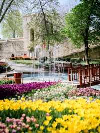 CATCHING FLOWERS IN GULHANE PARK 🇹🇷