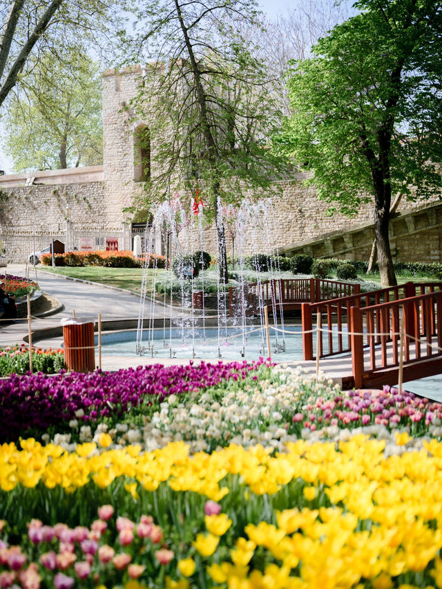 CATCHING FLOWERS IN GULHANE PARK 🇹🇷