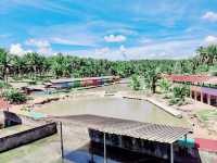 🐊 Teluk Sengat Crocodile Farm: A Solo Traveller’s Wild (and Slightly Terrifying) Adventure