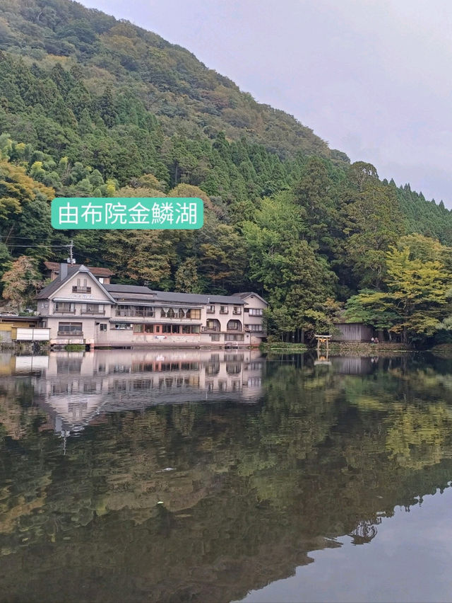 九洲值得一坐的綠色火車🚞