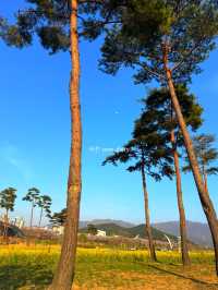 봄은 피크닉의 계절! 부산 및 근교 피크닉 공원 여행코스 🌱