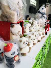 很多熊貓🐼的精品 愛不釋手