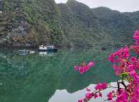 ⛵✨ Sailing Through Magic: My Dreamy Halong Bay Cruise! ✨⛵