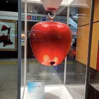 【青森🇯🇵】青森を味わう🍎新青森駅