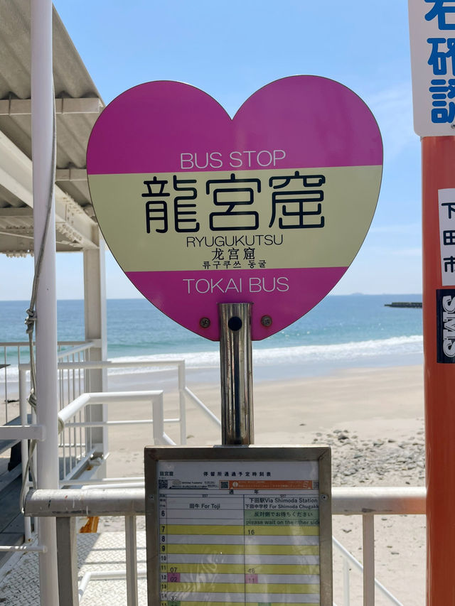 自然と歴史を感じる、下田おすすめスポット巡り