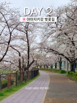 나고야 여행 2일차 일정 (벚꽃여행일정)