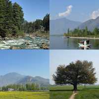 Kashmir - India 🇮🇳 ทริปแคชเมียร์แบบ 6 วัน 5 คืน