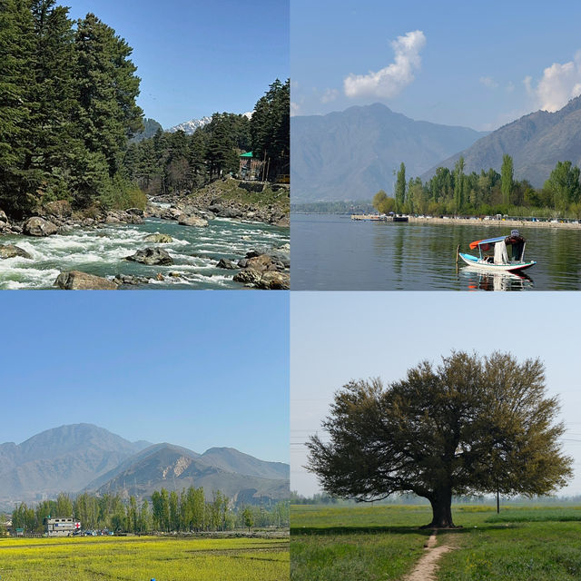 Kashmir - India 🇮🇳 ทริปแคชเมียร์แบบ 6 วัน 5 คืน