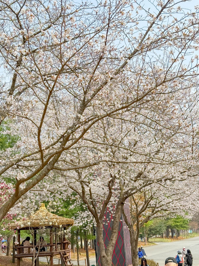 인천대공원으로 봄나들이가요!🌸