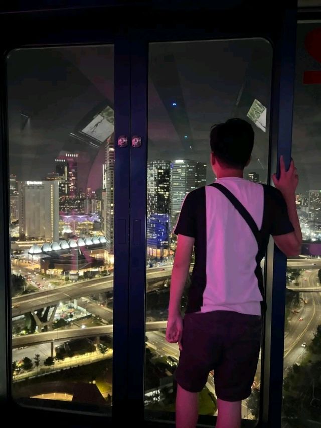 Above the City: A Breathtaking Ride on the Singapore Flyer