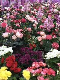 실내 데이트 추천: 양재 AT센터 꽃박람회에서 만나는 봄의 향연 🌸