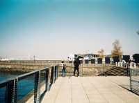 ท่าเรือโอชันบาชิ โยโกฮาม่า