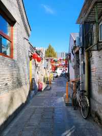 春遊：法源寺和白玉蘭撞個滿懷，爛縵胡同的可可愛愛