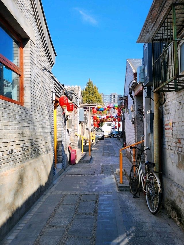 春遊：法源寺和白玉蘭撞個滿懷，爛縵胡同的可可愛愛