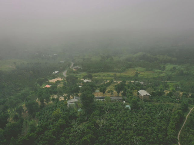 Quảng Trị