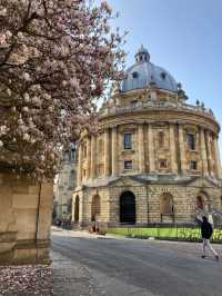 Oxford 