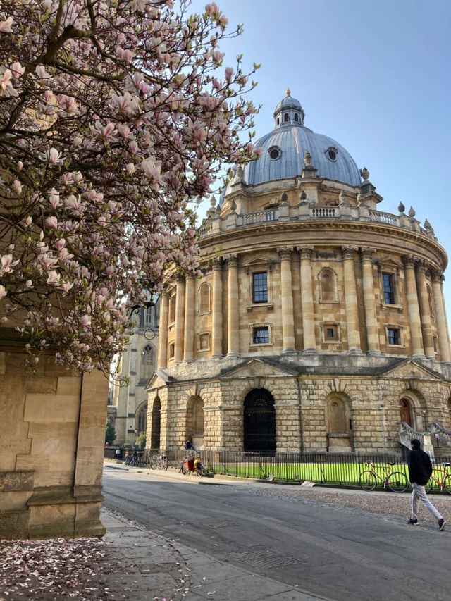Oxford 