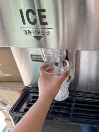 단 돈 1천원으로 즐기는 뷰 맛집 카페