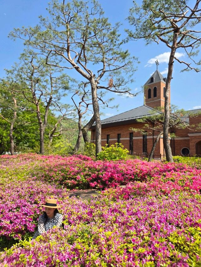 지금 가면 가장 예쁜 충북 괴산여행지 추천💚