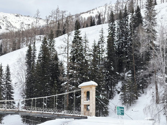 Xinjiang – A Hidden Bloom in China’s Western Frontier