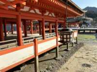 嚴島神社：精緻的紅色建築與手工特色⛩️