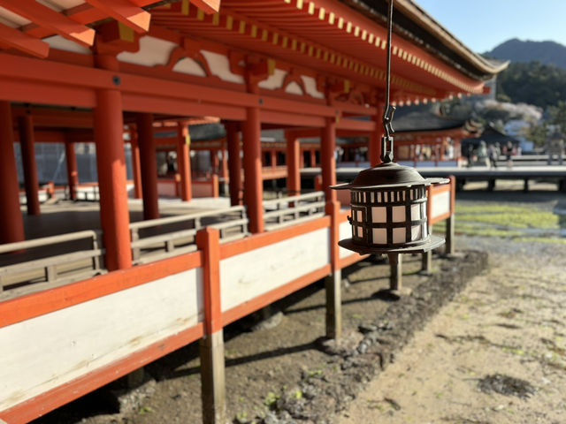 嚴島神社：精緻的紅色建築與手工特色⛩️