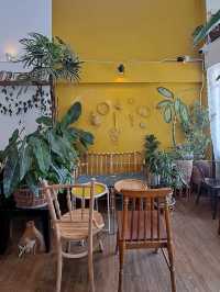 หวานกรุง ร้านคาเฟ่&ลอดช่องโฮมเมด อยุธยา